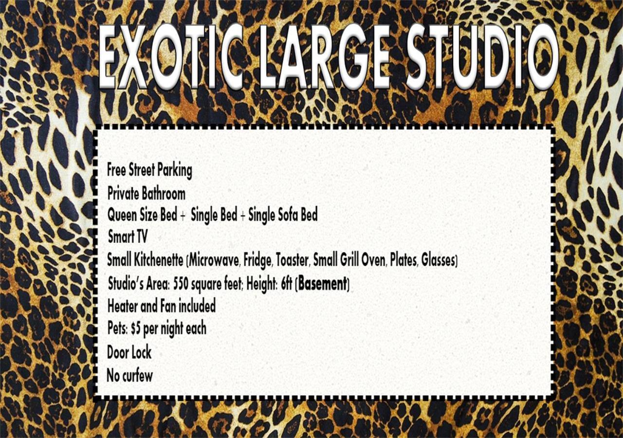 Exotic Large Basement Studio Hotel Montreal Ngoại thất bức ảnh